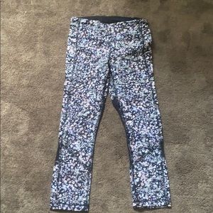 Pace rival crop